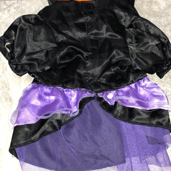 Witch Pet Costume Set - Picture 5 of 8